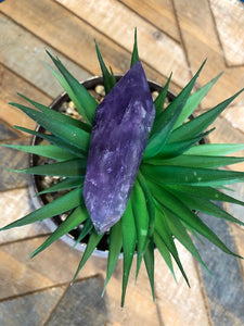 Double Terminated Amethyst Crystal